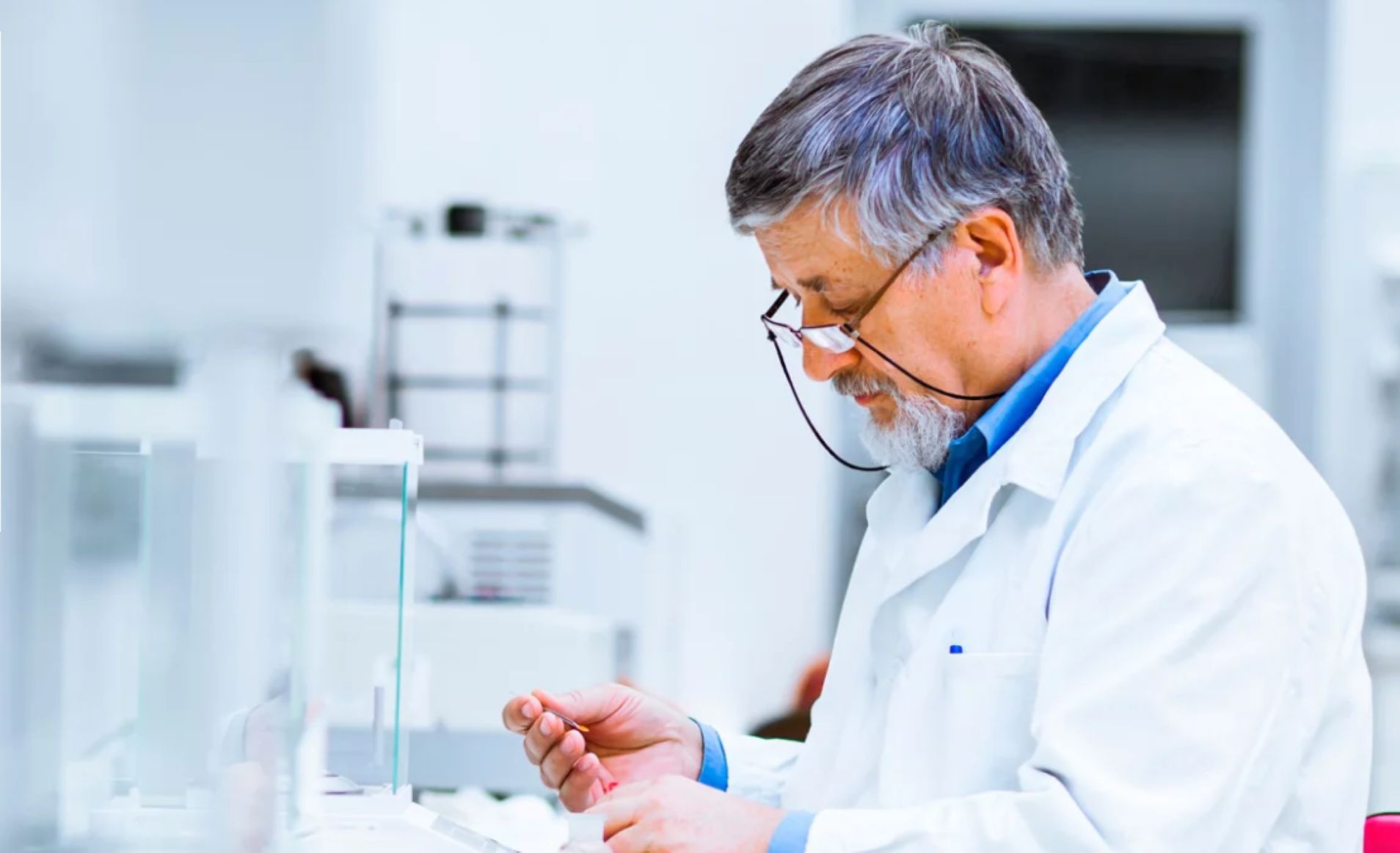 Foto: Reprodução - site - React19